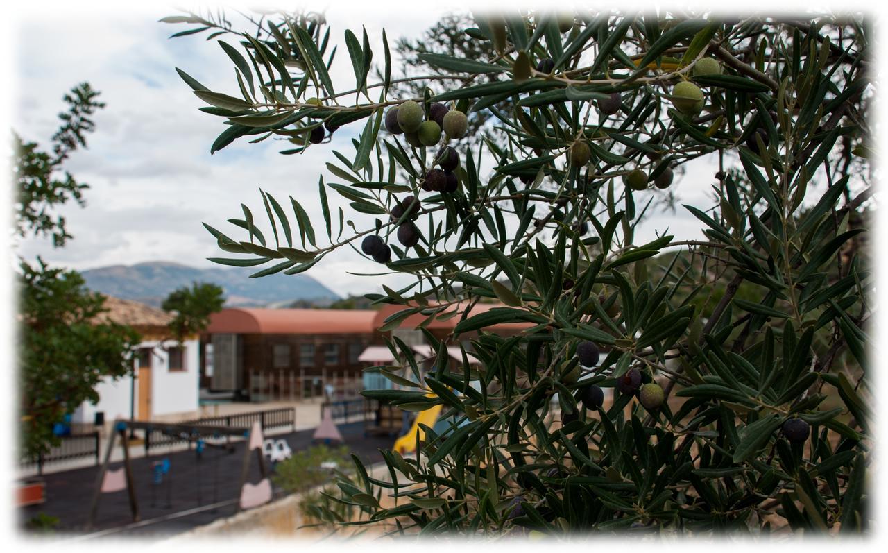 Hostal- Restaurante Estacion Via Verde Olvera Bagian luar foto